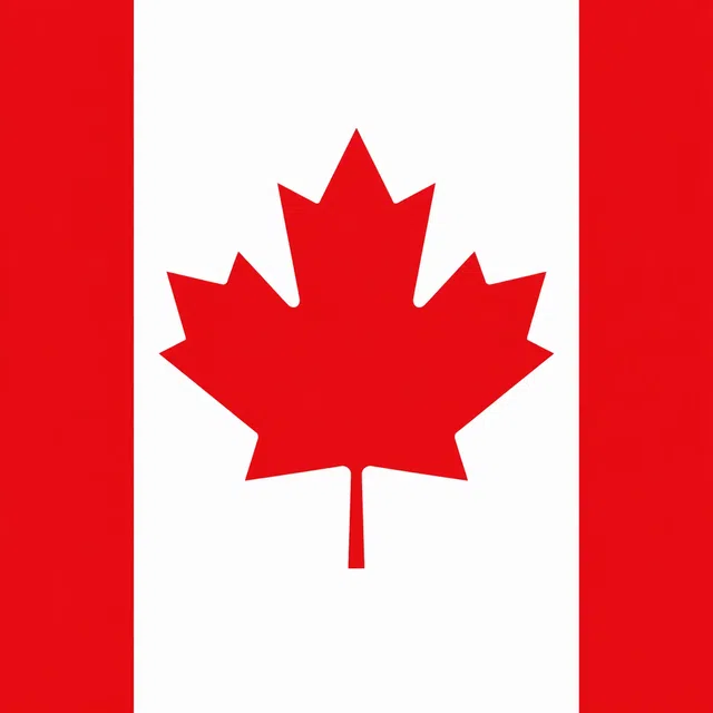 Illustration originale d'un drapeau rouge et blanc avec une feuille d'érable stylisée