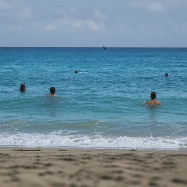 Ilustración original de suspenso de una aleta oscura que atraviesa el agua cerca de una playa llena de gente